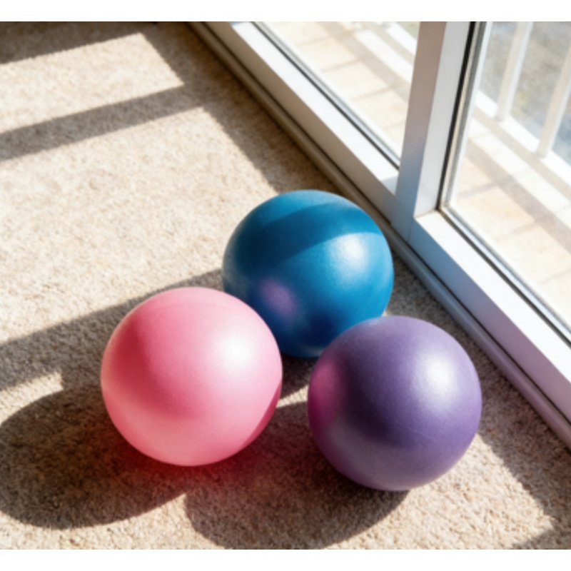 1 ballon de yoga épais et givr - Pilates Yoga Home Workout avis et prix